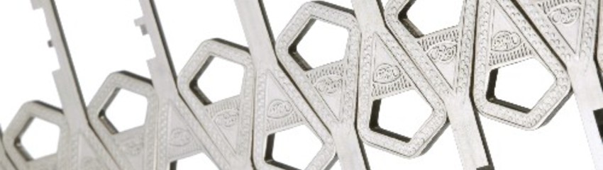 Avaimet_keys_kuvitus8_illustration8_medium.jpeg Avaimet_keys_kuvitus8_illustration8_medium.jpeg