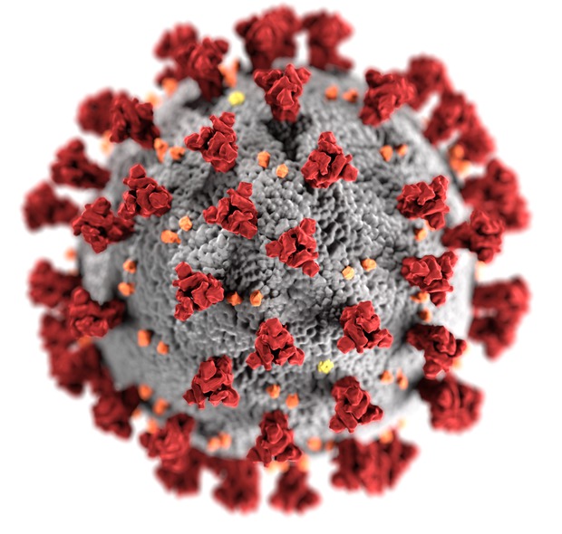 coronavirus